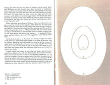 Kiwi And Moa- Pocket Guide