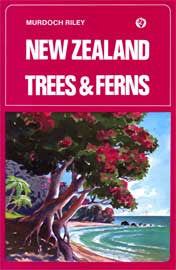 New Zealand Trees And Ferns (Hardback)
