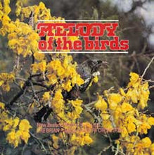Melody Of The Birds  (CD)