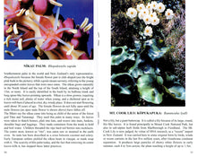 New Zealand Flowers And Berries: A Bush Lover's Calendar